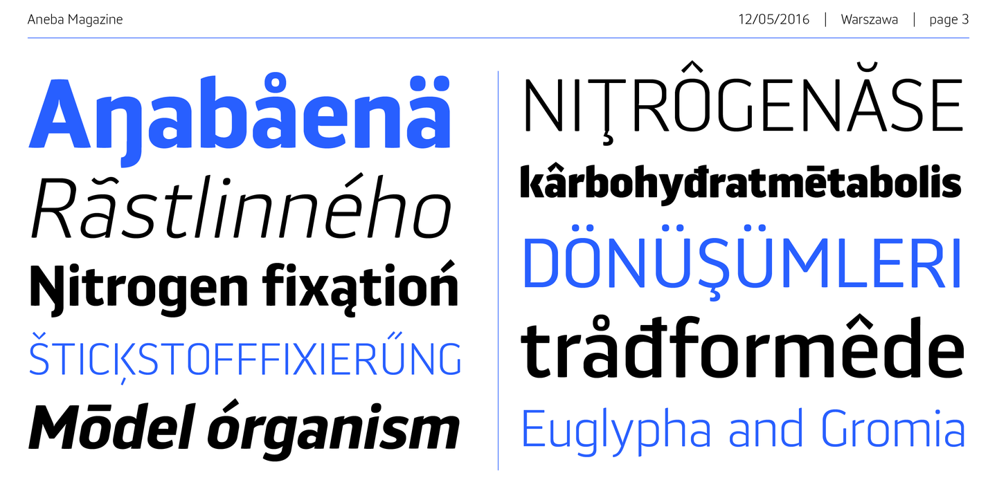 Пример шрифта Aneba Neue Medium italic